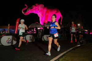 BIB: 
                            <button type="button" onclick="openModal(26534999)" class="btn btn-primary btn-sm float-right btn-popup" data-toggle="modal" data-target=".modal-high-quality">
                        <i class="fas fa-shopping-cart"></i> Add to Cart
                    </button>
                                            <button type="button" onclick="isThisMe(26534999, true)" class="btn btn-success btn-sm float-right btn-popup btn-isme hidden" data-toggle="tooltip" data-placement="bottom" title="นี่คือรูปของคุณใช่ไหม คลิกที่นี่เพื่อเอาเข้าอัลบั้ม">
                        <i class="fas fa-plus"></i> Add to album
                    </button>
                    <button type="button" onclick="isThisMe(26534999, false)" class="btn btn-warning btn-sm float-right btn-popup btn-isnotme hidden">
                        <i class="fas fa-ban"></i> Remove from album
                    </button>